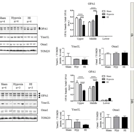 Figure 4. Cont.