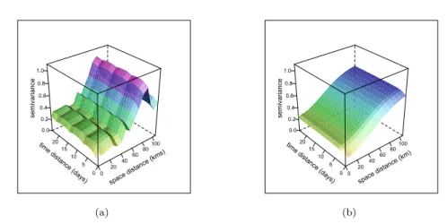 Fig. 4 Plots of the experimental estimator (a) and the fitted model (b) for the space-time semivariogram.