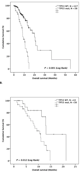 Figure 4: A. Kaplan-Meier curve comparing OS of TP53 mutated patients and TP53 WT patients