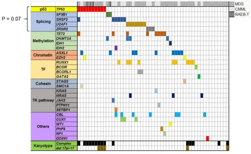 Figure 2: Landscape of well characterized myeloid driver mutations in 53 MDS/CMML patients whose bone marrow samples were sequenced by WES