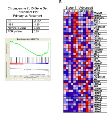 Figure 5: Gene set enrichment analysis (GSEA) from the microarray data comparing stage 1 with stage 3 aGCT showing enrichment of genes clustered on chromosome 7p15