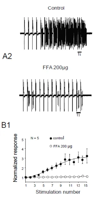 Figure 5 (A) Repetitive stimulations of the paw at three times the threshold for C-fibre induce a