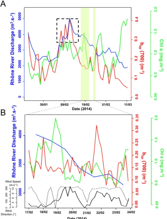 Figure 2.  (A) Rhône River freshwater discharge (blue) measured at Beaucaire-Tarascon (65 km  upstream the Rhône River mouth) as well as particulate backscattering coefficient b bp (700) (as a proxy  of SPM concentration [8]) (red) and Chl a fluorescence (