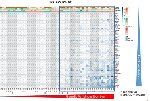 Figure 3: TP53 GVs deleterious correlate with high mutation rate patients. Both heatmaps represent PCa patients with only the non synonymous/regulative variations at ≥ 10% (left panel) or ≥ 5% AF (right panel)