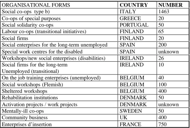 Table 1 - Work integration social enterprises: organisational forms and countries (1997 or 1998)