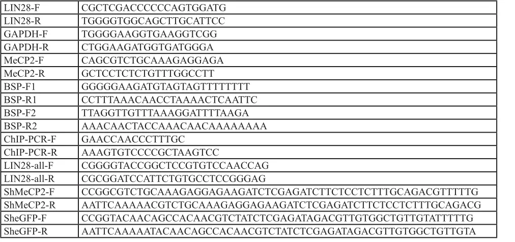 Table 1: DNA and RNA nucleotide sequences 