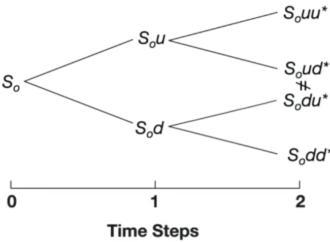 Figure 3.5: Nonrecombining Binomial Lattice