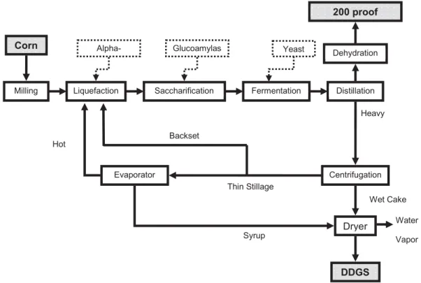 Figure 2.1 Schematic Flow Diagram of Current Dry Grind Ethanol Process.  Water  Utilization for Cooling of Heat Exchangers Is Not Shown (Kim)