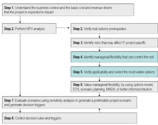 Figure 2-4: Project investment configuration framework, derived from (Benaroch et al. 2007, Bräutigem 2003)