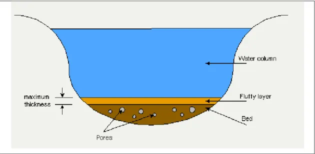 Figure 3-2: Vertical structure of the water quality component of the InfoWorks TM  RS  model 
