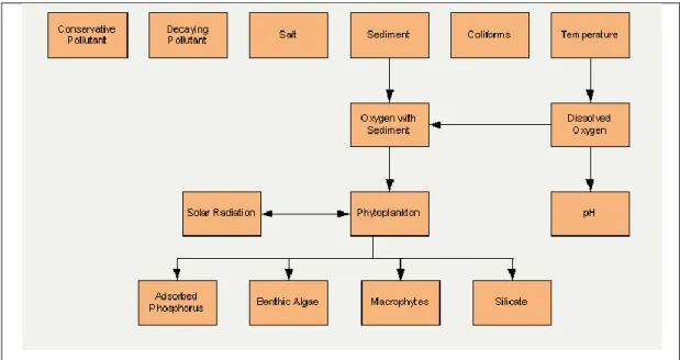 Figure 3-3: Components and inter-dependency of processes and variables included  in InfoWorks TM  Water Quality 