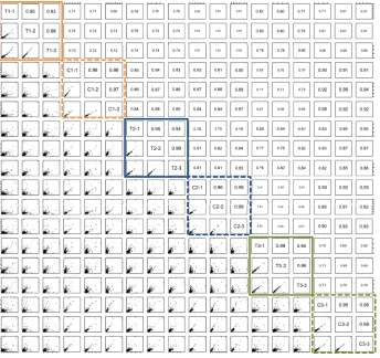 Figure 1: Pair-wise correlation of three tumor (T1-T3) / tissue pairs (C1-C3) that have been measured in technical triplicates