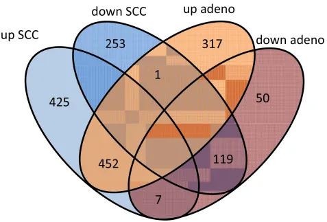 Figure 4: Volcano plots for adenocarcinoma and SCC. The plots present log2 of the fold change versus negative decimal logarithm of the p-value