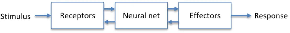Figure 2  Block diagram representation of human nervous system 