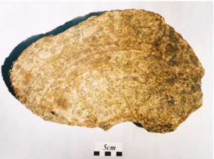 Figure 1.3: Crazing stone from Crift Farm 