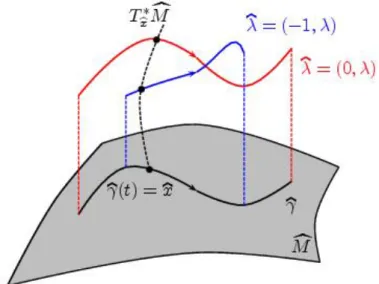 Figure 4.2: An optimal curve with two different lifts to T ∗ M so that it is abnormal and normal c at the same time.