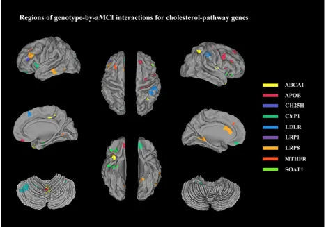 Table 1: Demographic and neuropsychological data between the aMCI subjects and the controls