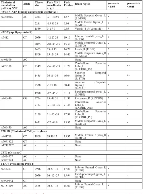 Table 2: Descriptions of the brain regions extracted from the genotype-by-aMCI interactions that remained statistically significant after correcting for the imaging space and across multiple SNPs per gene