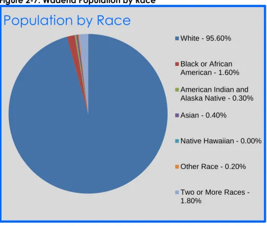 Figure 2-7: Wadena Population by Race 
