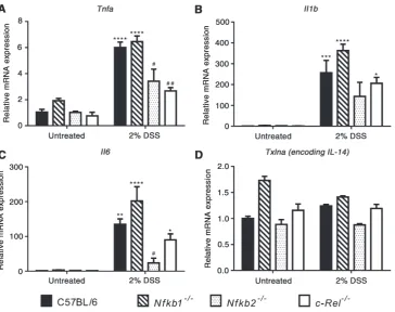 Figure 4. (A–D) Relative expression of the indicated cytokines in untreated and 2% DSS-treated mice determined by real-time PCR.difference between DSS-treated WT and DSS-treated transgenic mice tested by two-way ANOVA and Dunnett’s multiple comparison test