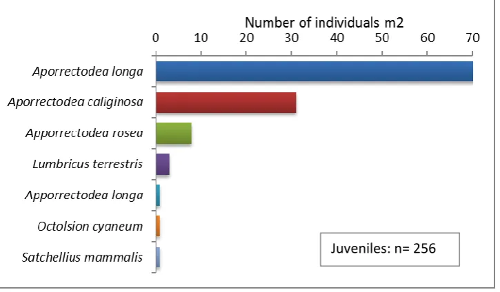 Figure 4.1.10. Earthworm numbers under different organic amendments in 2013. 