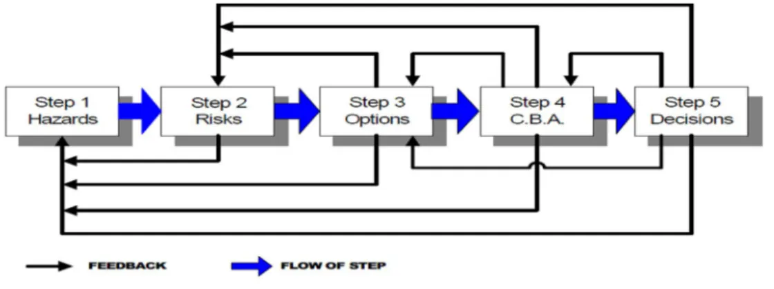 Figure 2: Information Flow in FSA Process 
