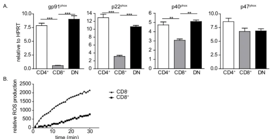 Figure 1. Ex vivo dendritic cell subsets differentially express NADPH oxidase subunits and  differentially produce reactive oxygen species