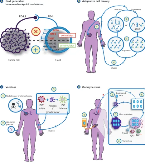 Figure 2 – Novel immune-oncology strategies (A) ‘Next-generation’ immune checkpoint modulators: After positive results with anti-pd1 or anti pd-l1 drugs, blocking other checkpoint inhibitors (eg