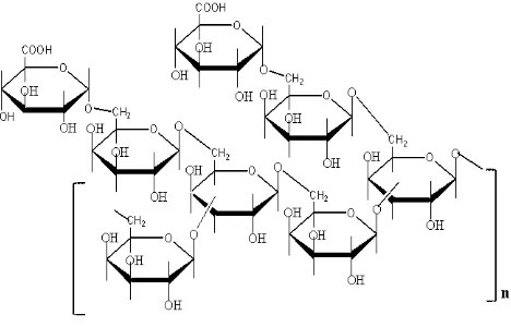 Figure 1. Chemical structure of gum arabic 