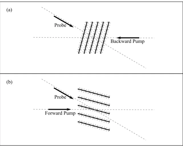 Figure 2.4.: Index of Refraction Grating Patterns. The pattern (a) formed by the Probe and Backward Pump beams is less well defined than that formed by the Probe and Forward Pump beams (b).