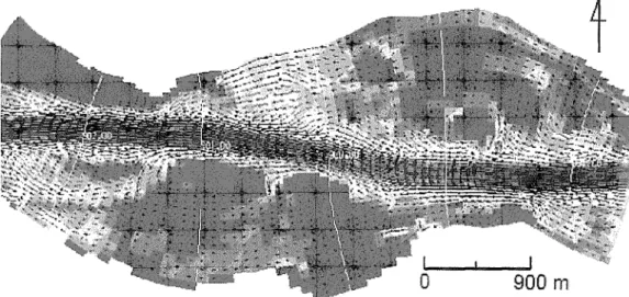 Fig. 2 Average flow velocities and flow directions in the study area as modelled by WAQUA