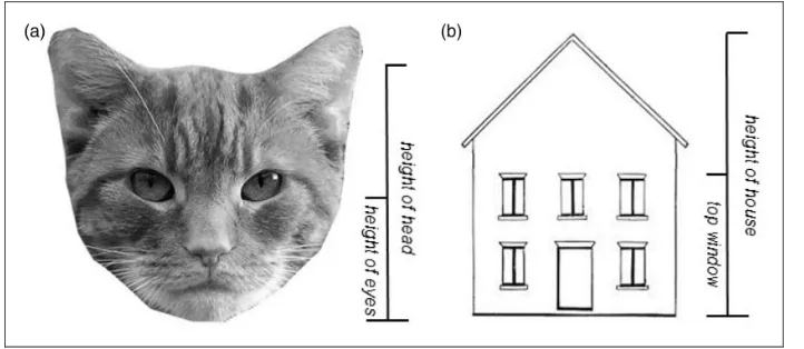 Figure 3. (a) The cat’s face used in the first observational drawing task in Experiment 2