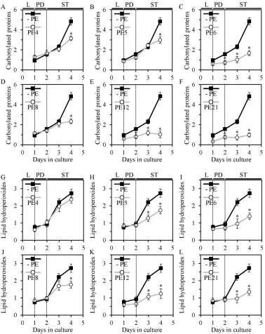 Figure 8: PE4, PE5, PE6, PE8, PE12 and PE21 delay an age-dependent rise in the extent of oxidative damage to cellular proteins in chronologically aging yeast grown under non-CR conditions