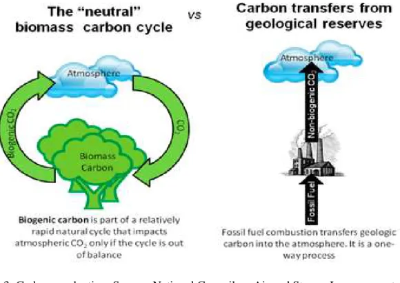 Figure 3: Carbon production; Source: National Council on Air and Stream Improvements 