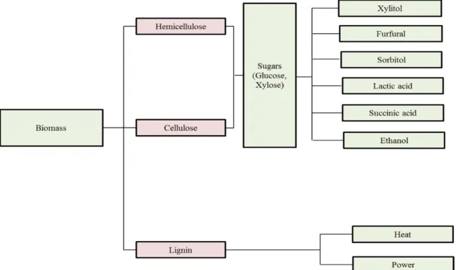 Figure 7: Potential products from biomass 