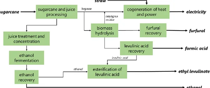 Figure 7. Simplified block flow diagram of the biorefinery including the production of EL