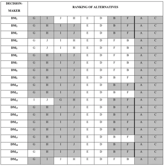 Table 2 Rankings of alternatives for each decision-maker (weights +5% ) 