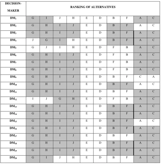 Table 3 Rankings of alternatives for each decision-maker (weights + 10%) 