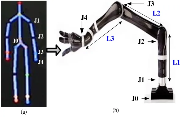Fig. 6 (a) The skeleton obtained by processing the Kinect output showing the corresponding joints (J1-J4), with the waist joint J0 is taken as reference (b) The JACO Robot Arm showing the corresponding joints (J1-J4), with the robot arm base J0 is taken as reference and the respective links (L1 – L3) 