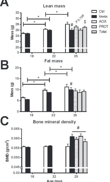 Figure 4: Body composition analyzed by DEXA. A. Lean mass; B. fat mass and C. bone mineral density
