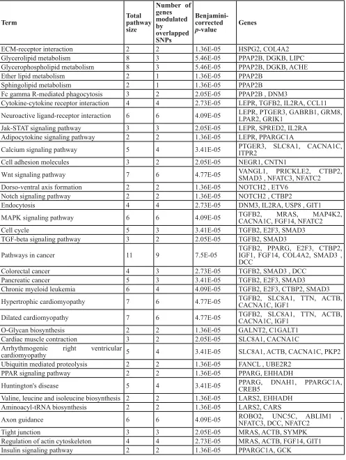Table 2: Overlapped pathways identified in T2D and MDD.