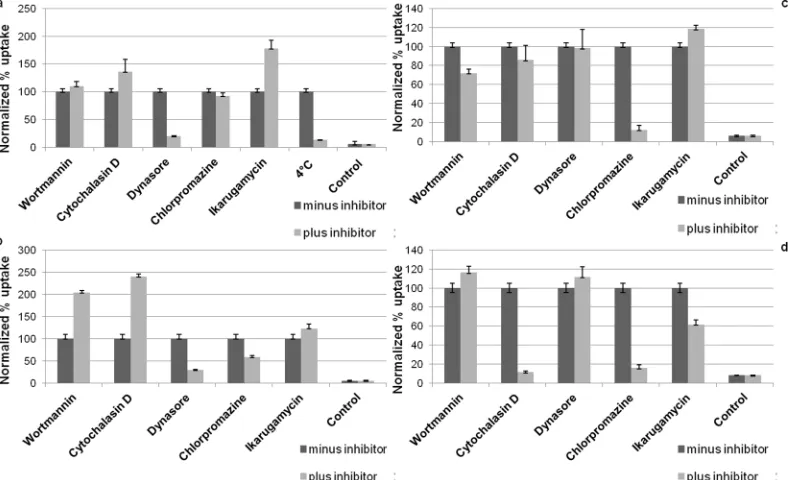 Fig 7. Cellular uptake of PHMB-FITC and PHMB-FITC/CpG ODN polyplexes and effects of selective endocytosis inhibitors