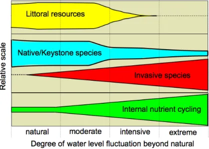 Fig. 6. Conceptual diagram of the changes likely to occur in stratified lakes as a function  of increasing the degree of water level fluctuation beyond natural.