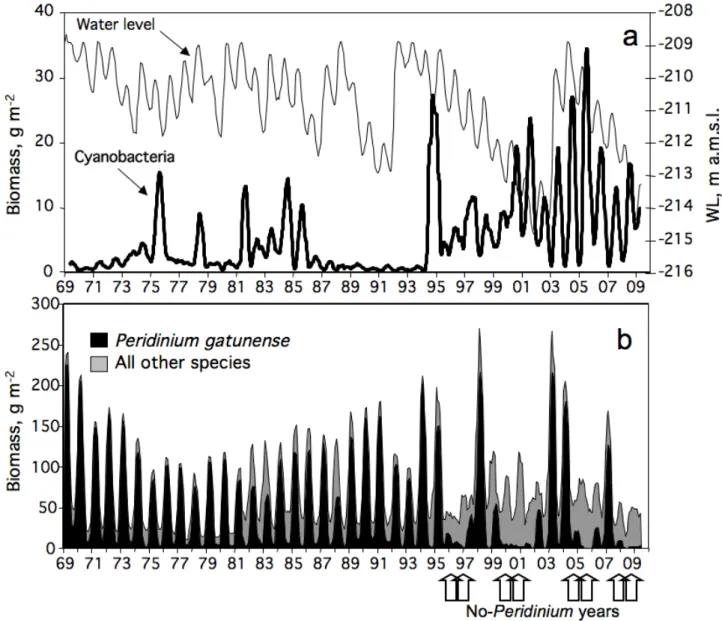 Fig. 3.  Monthly mean, depth-integrated cyanobacterial (a) or Peridinium gatunense and all other phytoplankton species (b) wet-weight biomass  (g m −2 ) in Lake Kinneret, 1969–2009
