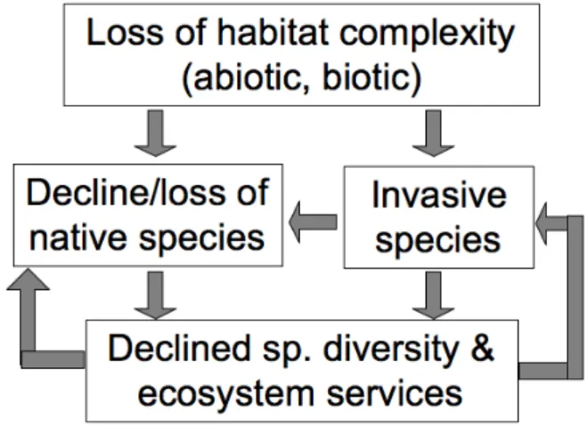 Fig. 4. Conceptual diagram of the pathways from loss of littoral  habitat complexity to reduced species diversity and loss of ecosystem  functions.