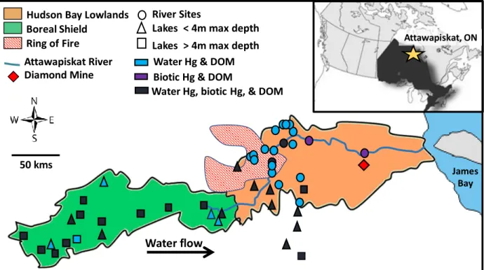 Figure 3-1: A map of the Attawapiskat Drainage Basin (ADB), showing the 18 Shield  lakes, 9 Lowland lakes, and 20 river sites sampled for this study