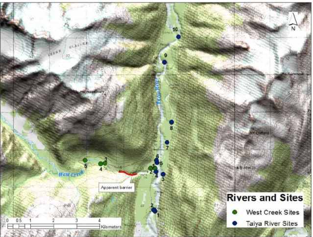 Figure 2.3 - Lower watershed sampling sites in KLGO, including Taiya River (blue dots) and West Creek  (green dots).3