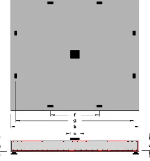 Figure 3.6:  A typical isolated slab specimen: simply supported with concentric loading 