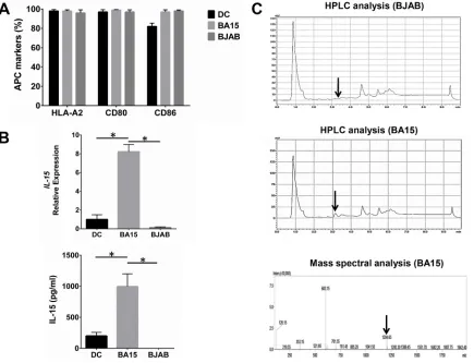 Figure 1: Expression of AFP158-166 peptide-HLA-A*02:01 complex, CD80, CD86, and IL-15 in DC, BA15, and BJAB cells