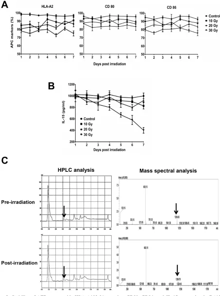 Figure 2: Stability of AFP158-166 peptide-HLA-A*02:01 complex, CD80, CD86, and IL-15 expression in BA15 cells after γ-ray irradiation